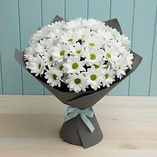 Букет цветов из:  Хризантемы #REPLACE_PRED# Горбунки