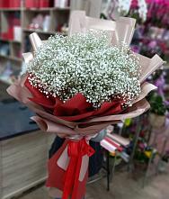 Букет цветов из:  Гипсофила #REPLACE_PRED# Горбунки