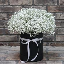 Цветочная композиция из Гипсофила в шляпной коробке в Горбунки