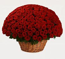 Премиум букет из: Розы в Горбунки